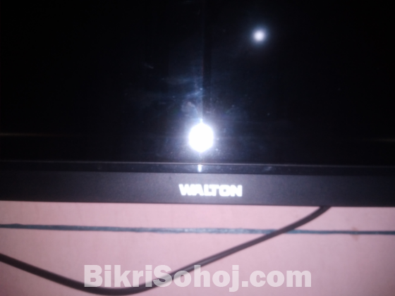 WALTON WT1